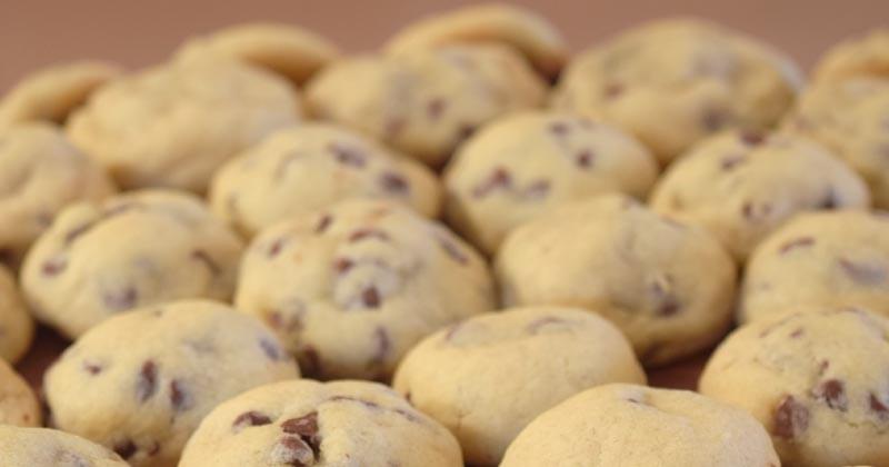 Small cookies covering the top of a cake.